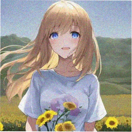 用户何笙的头像
